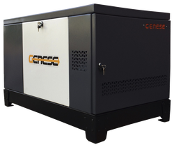 Газовый генератор Genese Pro 17000 T Neva в кожухе с АВР